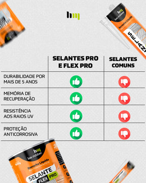 SELANTE FLEX PRÓ  CINZA 300 G